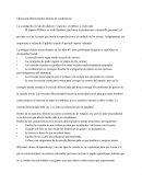 Educacion diferenciada.