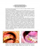 CATEDRA DE ANATOMIA PATOLOGICA CASO CLINICO: INFLAMACION.