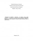 Proyecto productivo.