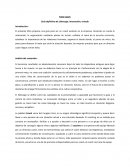 Exito coach informe libro.