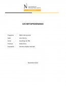 METAPROGRAMAS.