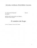 El cerebro de Hugo. TEA