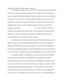 Anímales en peligro de extinción: hagamos conciencia