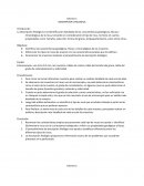 DESCRIPCION LITOLOGICA.