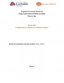 La democracia y los derechos humanos.