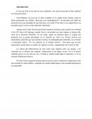 PRACTICA PSICOLOGIA DEL CONFLICTO SOCIAL