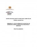 APLICA NORMAS DE CALIDAD EN LOS DIFERENTES CAMPOS LABORALES DE INDUSTRIAS Y SERVICIOS PRACTICA:SANDWICH