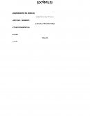 Explique los aspectos que cubren las Normas de Seguridad.