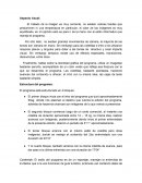 Analisis Programa Madrileños por el Mundo - Tokyo