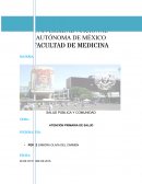 ATENCIÓN PRIMARIA A LA SALUD.