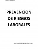 Prevención Riesgos Laborales. ¿QUÉ ES EL SISTEMA PREVENTIVO?.