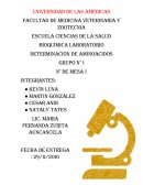 Facultad de medicina veterinaria y zootecnia