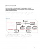 Estructura organizacional de una empresa. Para el desarrollo pleno de la veterinaria Zoolandia