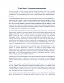 El cisne negro Posición esquizoparanoide