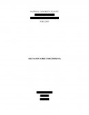 TEORÍAS SOBRE LAS ETIOLOGÍA U ORIGEN DE LA ESQUIZOFRENIA: