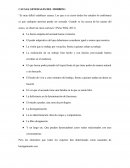 CAUSAS GENERALES DEL MOBBING