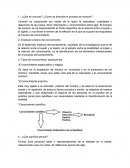 ¿Qué es conocer? ¿Cómo se describe el proceso de conocer?