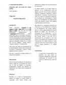 La representación política Elementos para una teoría del campo político