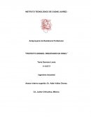 Anteproyecto de Residencia Profesional. "PROYECTO GIRASOL ORIENTANDO UN PANEL"