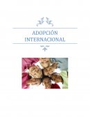 Adopción internacional. El Derecho Internacional Privado