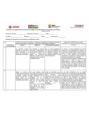 Esquema de seguimiento al proceso de trabajo del cuatrimestre del Programa de REDES.