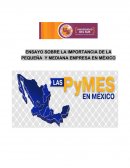 UN ENSAYO SOBRE LA IMPORTANCIA DE LA PEQUEÑA Y MEDIANA EMPRESA EN MÉXICO