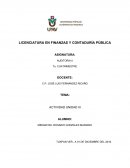 DESDE SU PUNTO DE VISTA CUAL ES LA IMPORTANCIA DEL DICTAMEN A LOS ESTADOS FINANCIEROS.