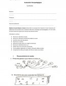 La Evaluación de Lenguaje y Comunicación adapatacion 2° basico.