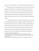 La escuela cuenta con una plantilla de 15 proveedores fijos de diferentes rubros que abastecen sus recursos materiales.