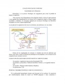 Hemostasia: es un proceso fisiológico de coagulación para evitar la pérdida de sangre al organismo.