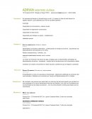 Auxiliar administrativo porfirio o. morales