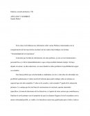 TRABAJO FINAL Infancia, escuela primaria y TIC.