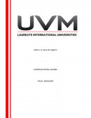 Un Ensayo tipo de grupos