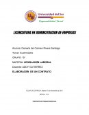 LA LICENCIATURA EN ADMINISTRACION DE EMPRESAS- TEMA