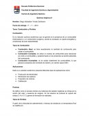 El Tema: Combustión y Pirolisis