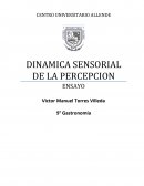 TEMA- DINAMICA SENSORIAL DE LA PERCEPCION