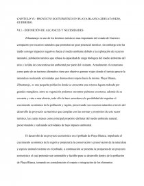 CAPITULO VI.- PROYECTO ECOTURISTICO EN PLAYA BLANCA ZIHUATANEJO, GUERRERO.. Página 1