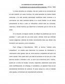 Ensayo sobre la violencia escolar en la escuela primaria