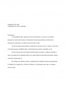 Seguridad en las redes.