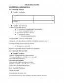 Delegación de la tarea educativa al ámbito extrafamiliar (maestros, ocio...)