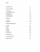 Gimnasia, creatividad y resistencia: Un estudio en el ISEF de Uruguay