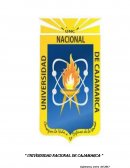 Mi realidad politica.