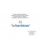 LOS APOSENTOS – CAMPO ELÍAS – ESTADO TRUJILLO