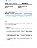 Tema de la Actividad 1 diseño organizacional.