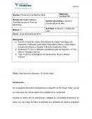 Caso Servicio a Domicilio "El Chinito Veloz"