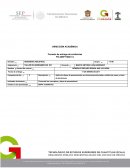 Formato de entrega de evidencias