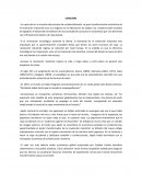 CONSUMO.La ropa está en el corazón del proceso de occidentalización