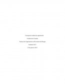 Técnicas de Capacitación en Prevención de Riesgos .