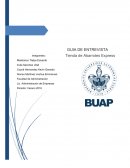 ¿Cómo está constituida su empresa (su empresa (negocio) es física o moral)?