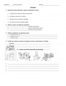 Subraya de colores diferentes el sujeto, el predicado y el verbo